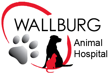 Wallburg Animal Hospital Logo